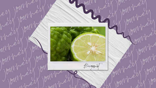 Bergamot Essential Oil