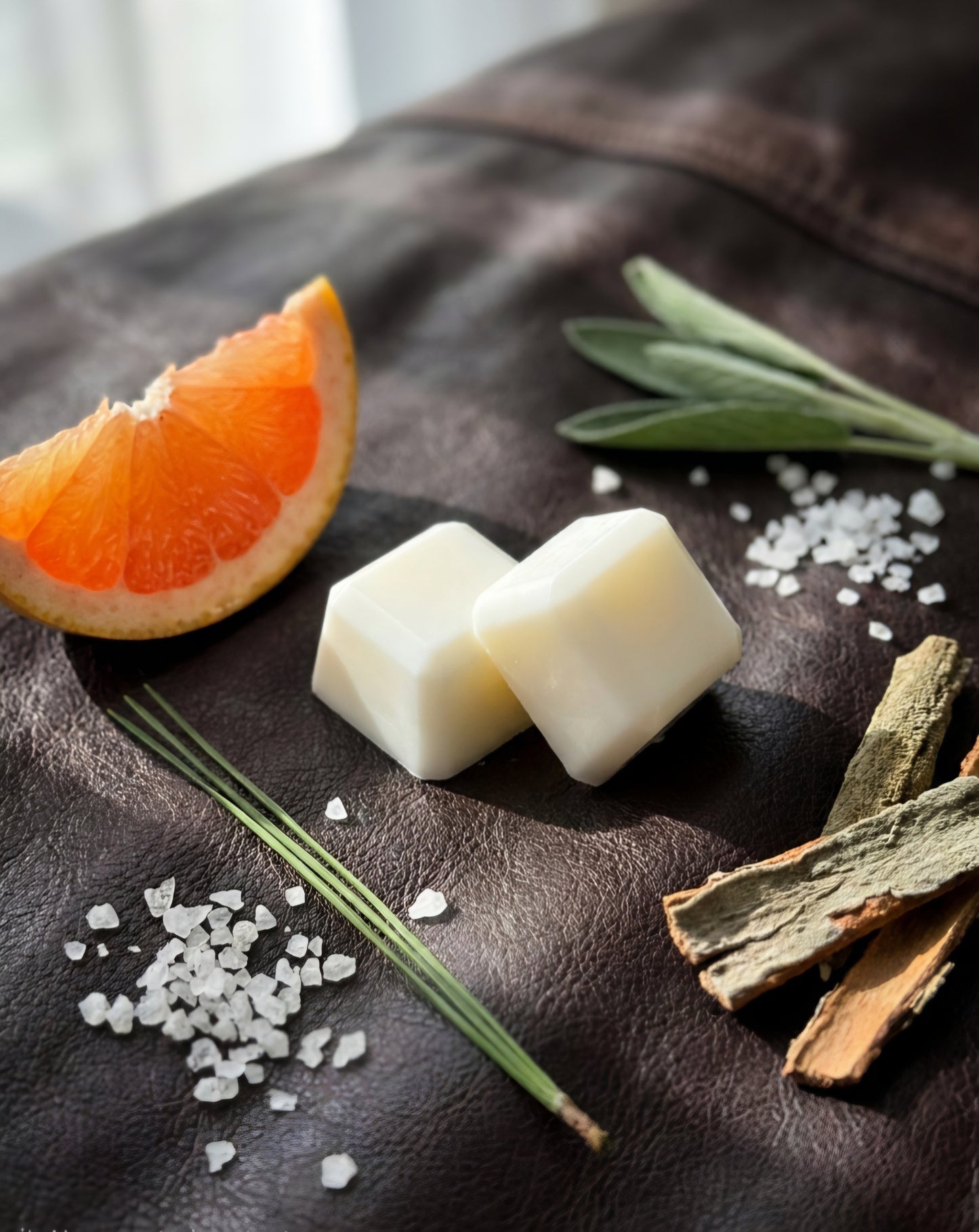 The Coast (Woodsage & Sea Salt by Jo Malone Type) | Luxury Wax Melt